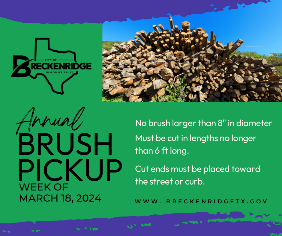 Annual Brush Pickup 2024